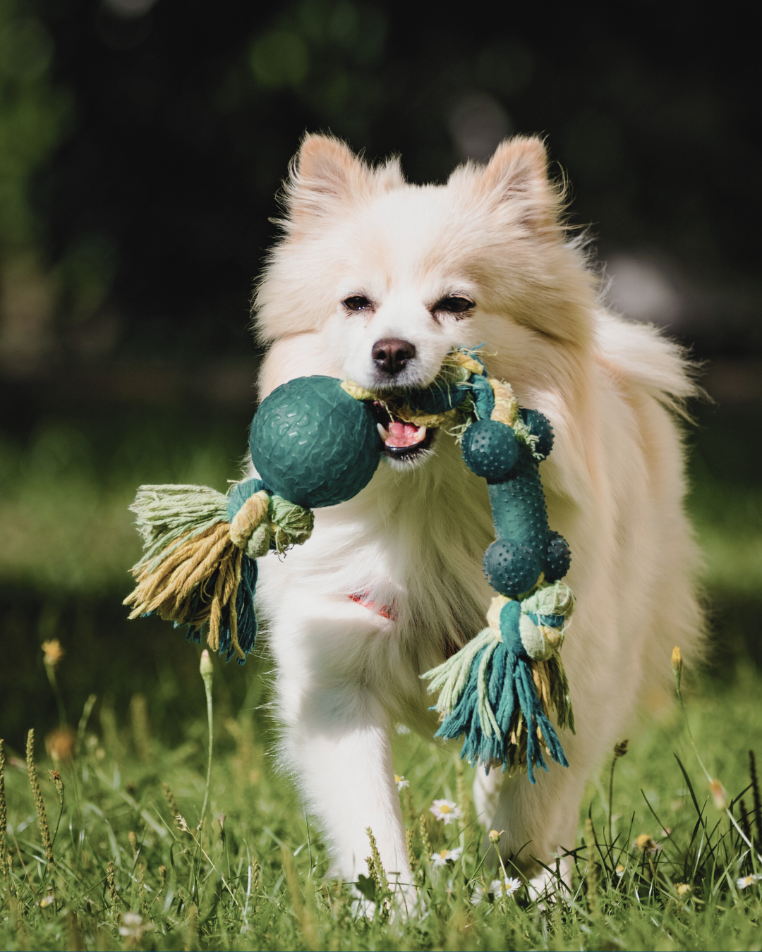 Jouets