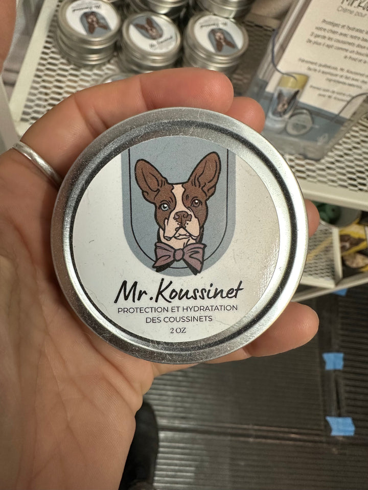 Mr. Koussinet