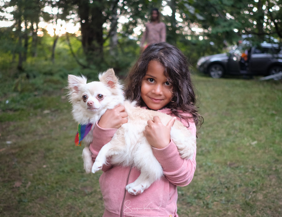 Les compagnons avertis - Énergie canine Estrie