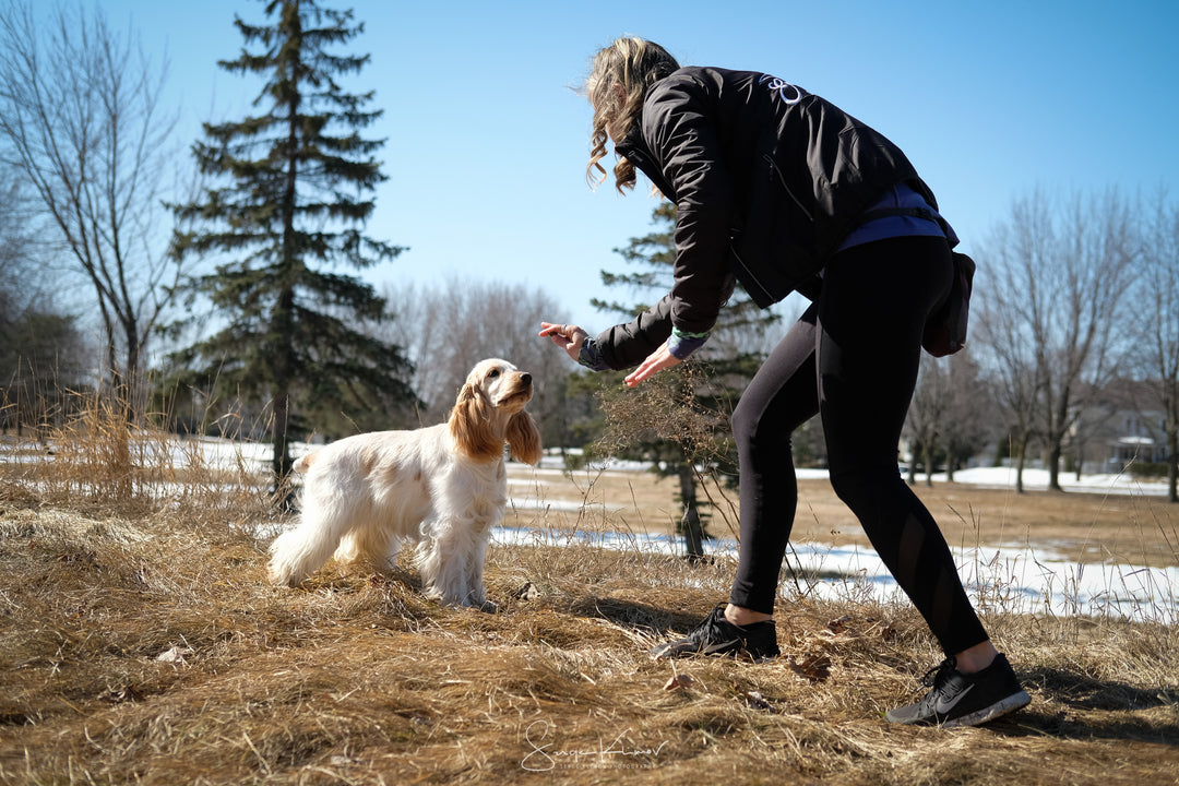 Formations canines en ligne – Énergie Canine Estrie